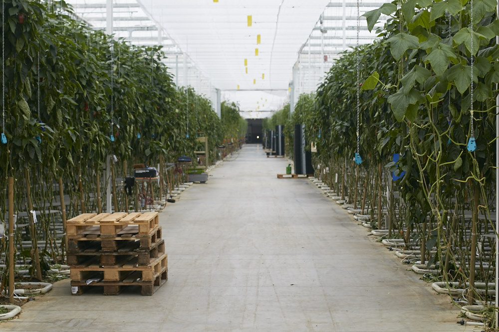 unterwegs bei Bio Gem&uuml;se Wagner