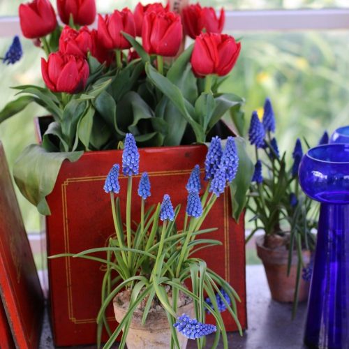 Neu und beachtenswert im Maerz