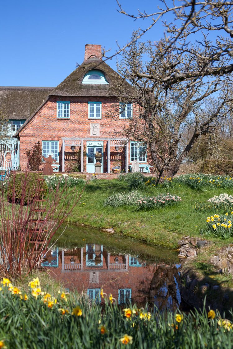 Narzissenfest 2019 Hilligenbohl