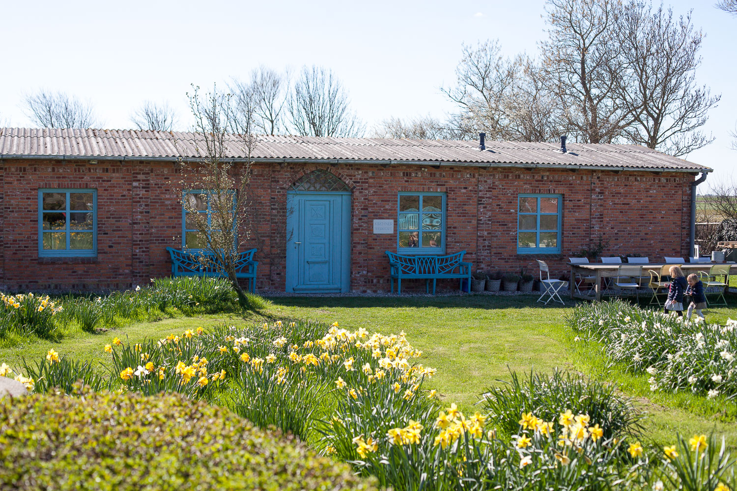 Narzissenfest 2019 Hilligenbohl