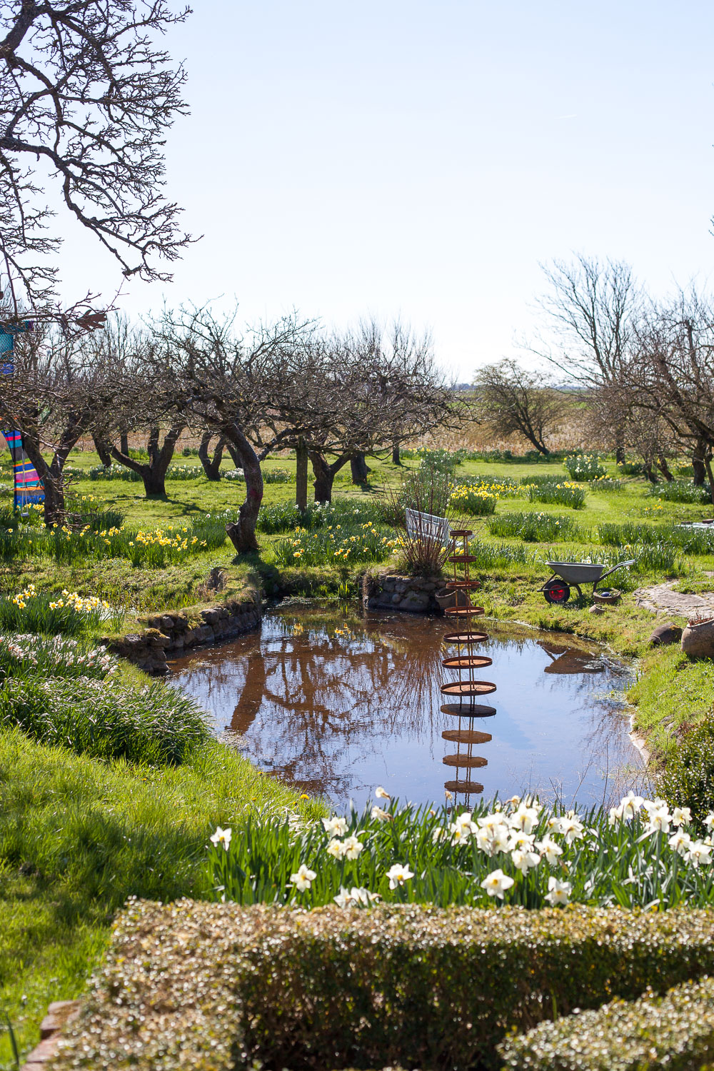 Narzissenfest 2019 Hilligenbohl