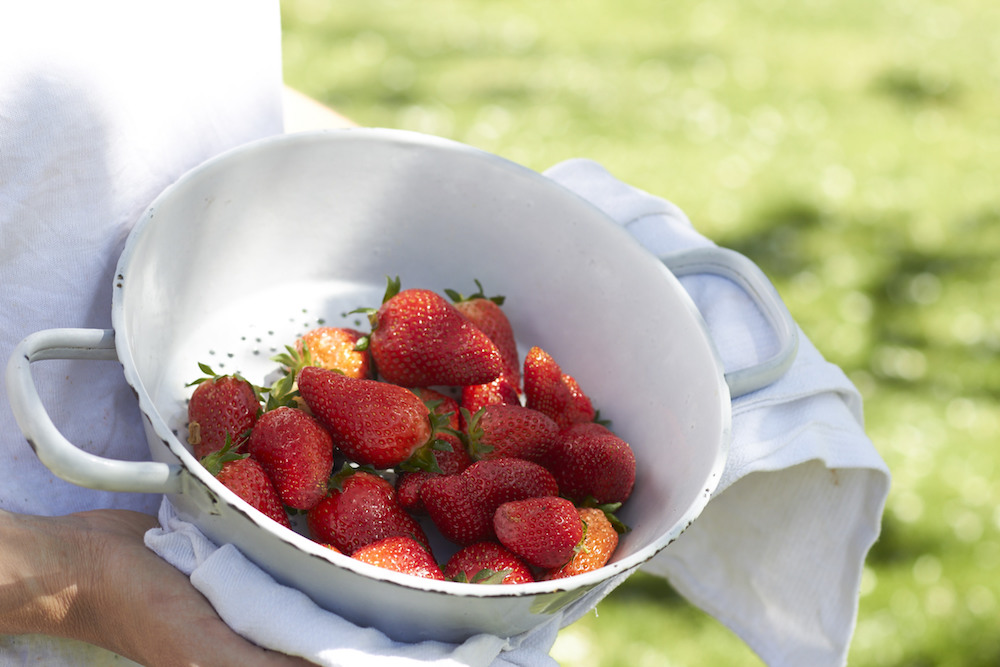 Erdbeerketchup selbst eingekocht zum Verschenken | tastesheriff Erdbeerketchup selbst eingekocht zum Verschenken | tastesheriff