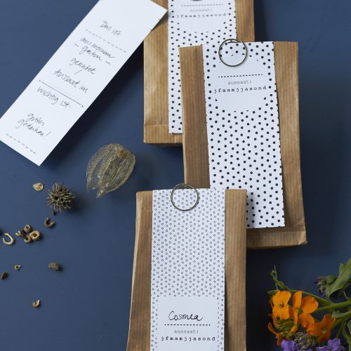 DIY Saatgut-Tueten mit Samen gefüllt