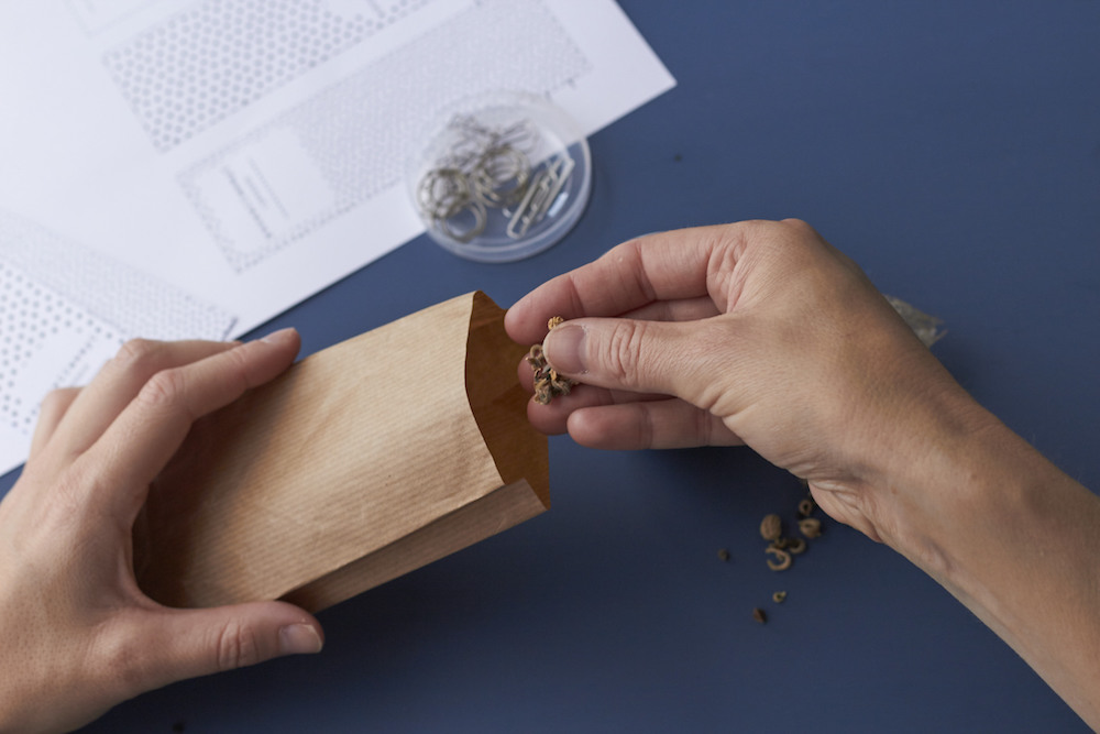 DIY Saatgut-T&uuml;ten mit Samen gef&uuml;llt: Ideal zum Verschenken und eine kleine Freude machen. Eine kleine Aufmerksamkeit im Fr&uuml;hling.