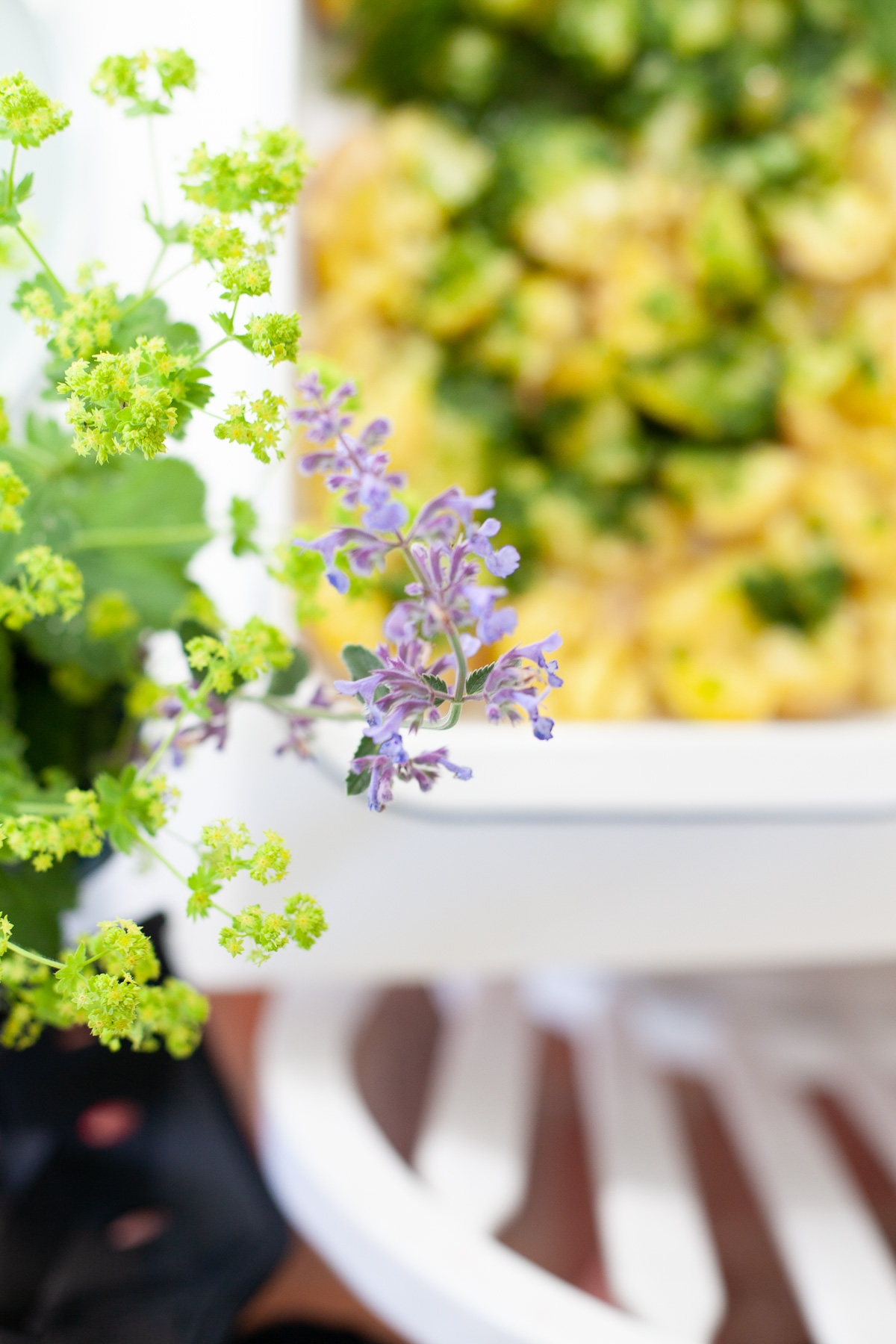 Schwedische Kartoffeln mit Dill sind ne super Beilage zum Grillen, sie schmecken toll kalt oder warm und lassen sich so auch prima mitnehmen f&uuml;r ein Buffet.