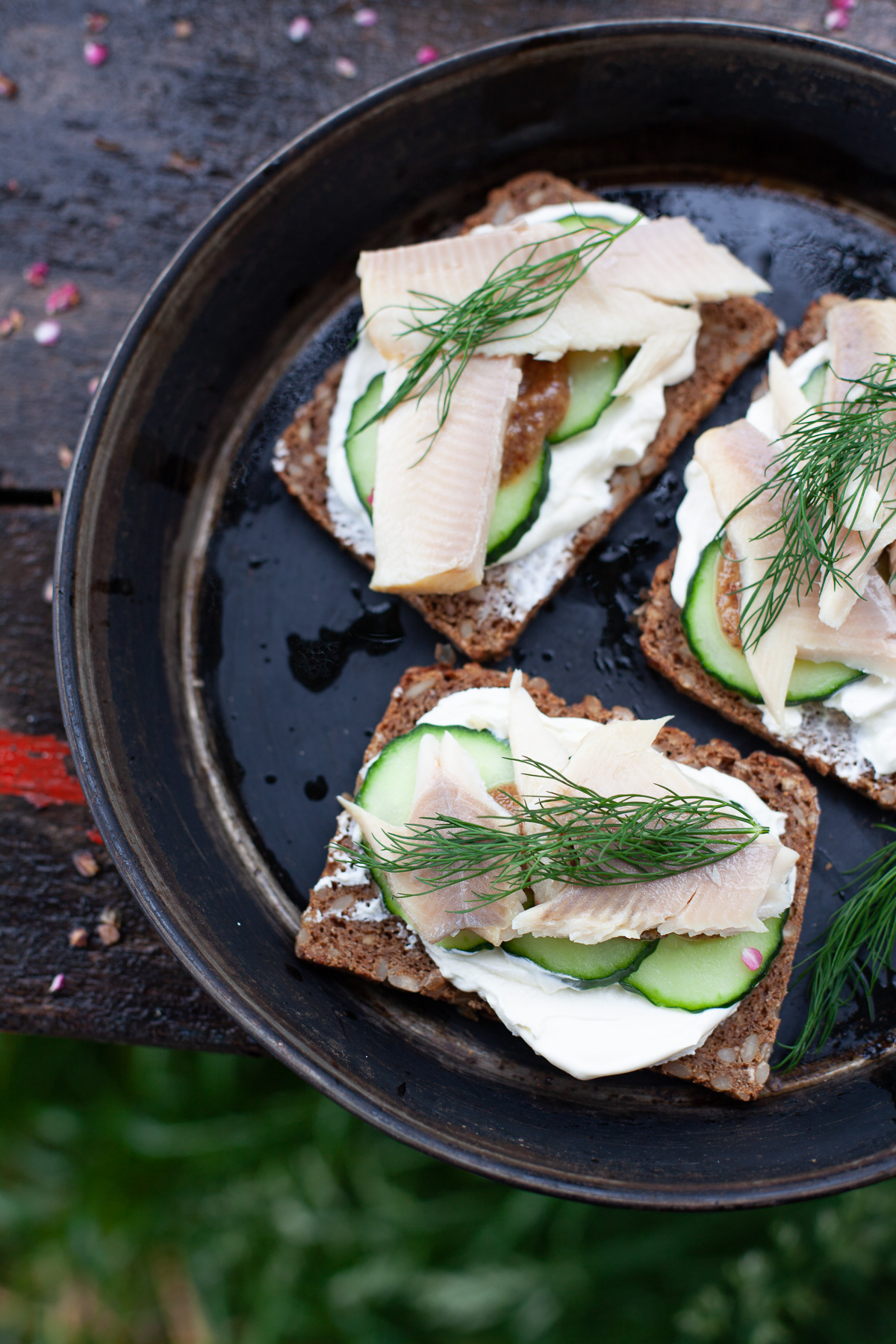 Vollkornbrot mit geraeucherter Forelle - Schnittchen