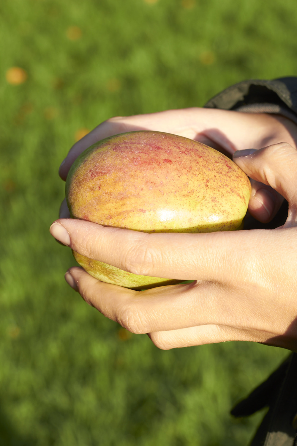 Weihnachtsmarmelade mit Apfel und Amaretto