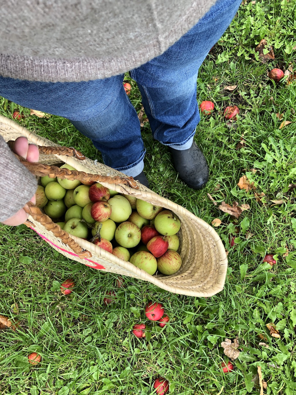 leckerer Applepie - sehr lecker und perfekt f&uuml;r die Herbststimmung