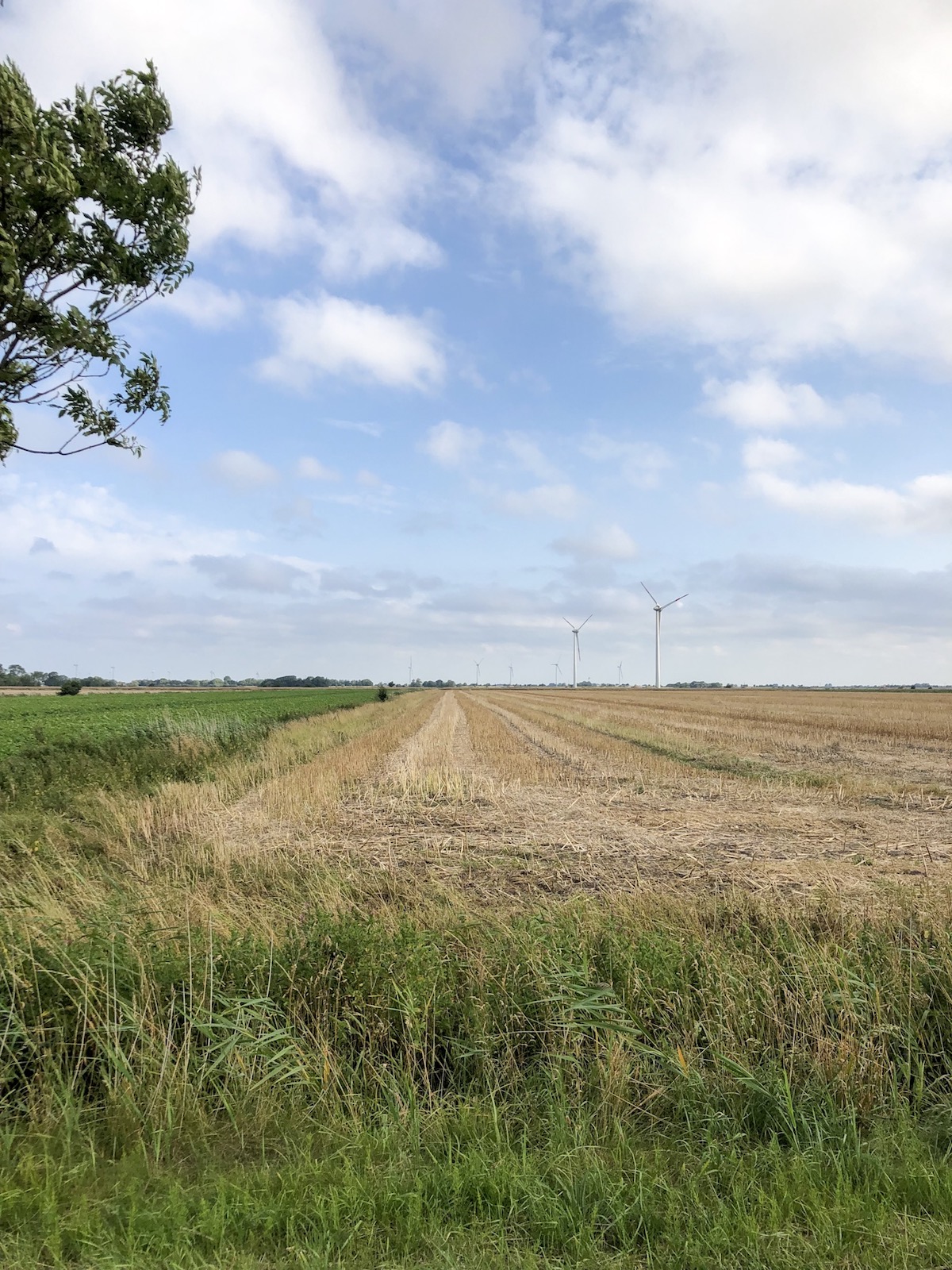 5 Fragen am F&uuml;nften