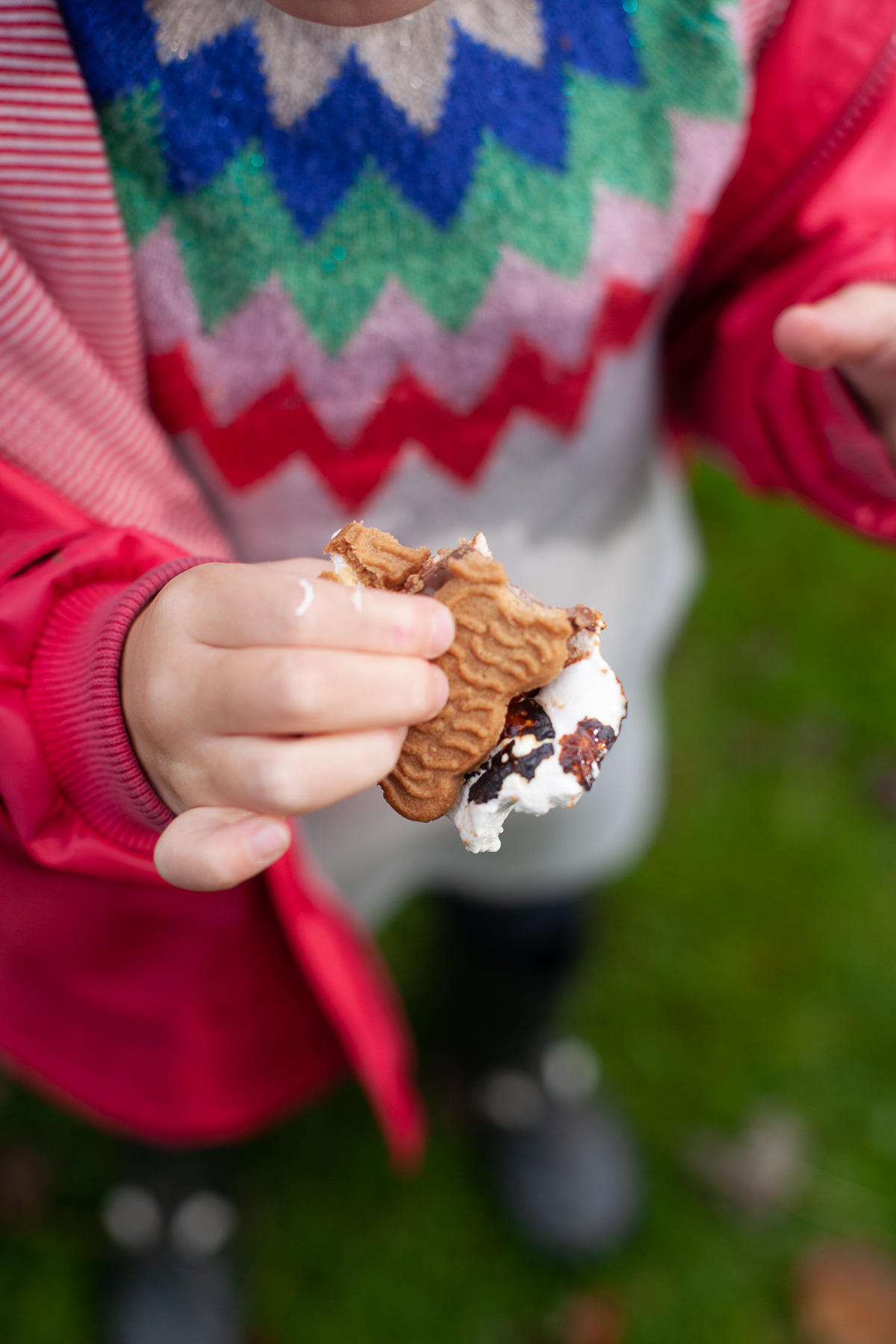 herbstliche Smores mit köstlichem Spekulatius als Leckerei am Lagerfeuer