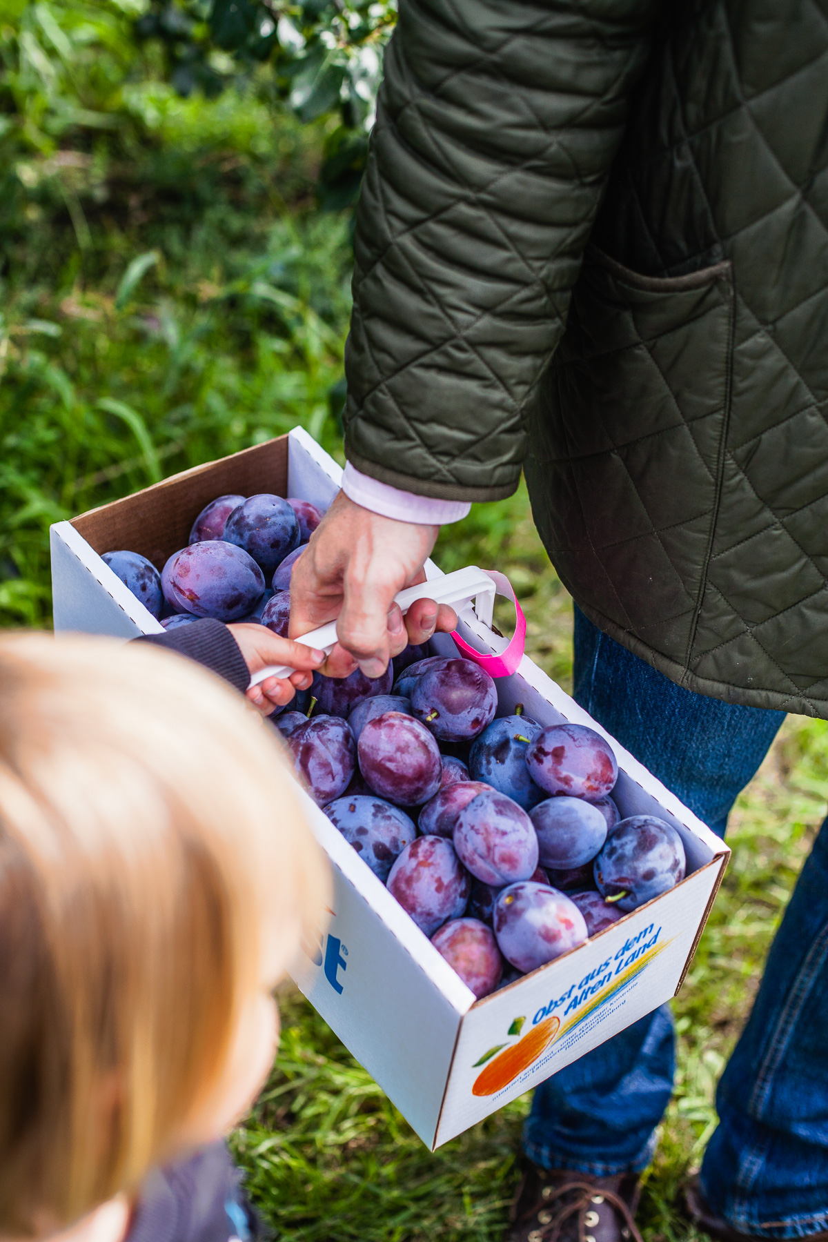 warmer Zwetschgen Crumble mit selbstgeflückten Zwetschgen