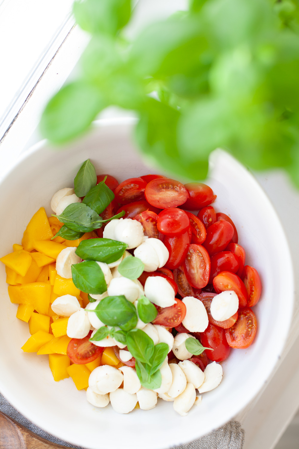 Mit nur ein paar Zutaten ist der Mango Tomaten Mozzarella Salat ein Dauerbrenner bei jedem Grillen - die Mango gibt einfach noch den letzten Pfiff mit ihrer Süße!