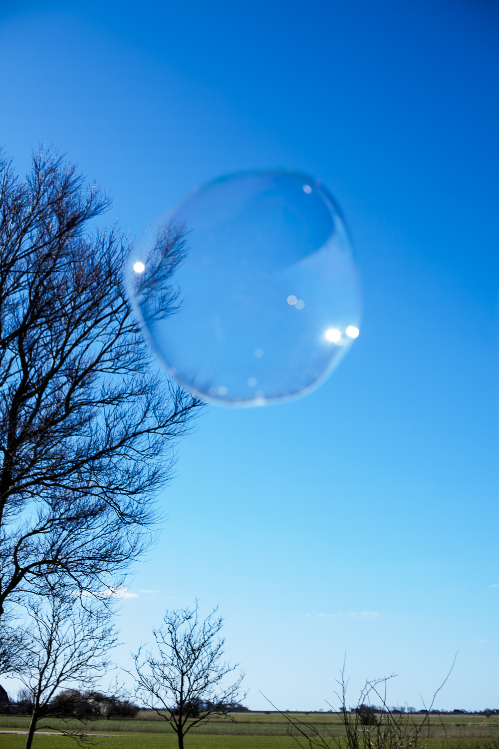 Spass im Garten mit Riesenseifenblasen