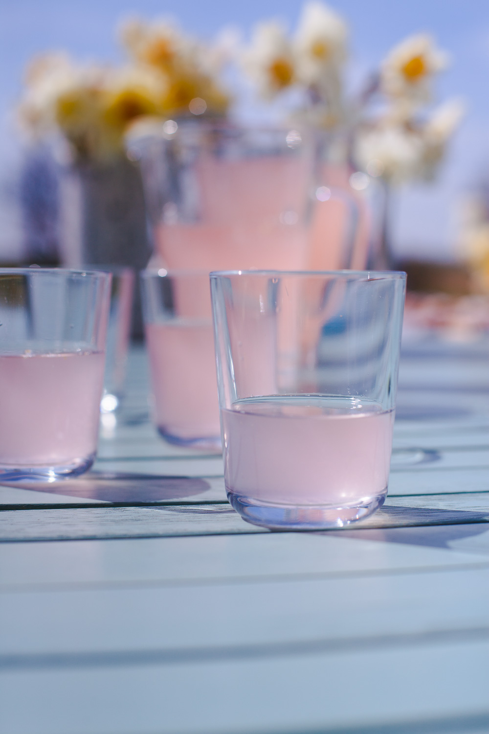 Eine Frühlings-Erfrischung – Rhabarber-Ingwer Limonade