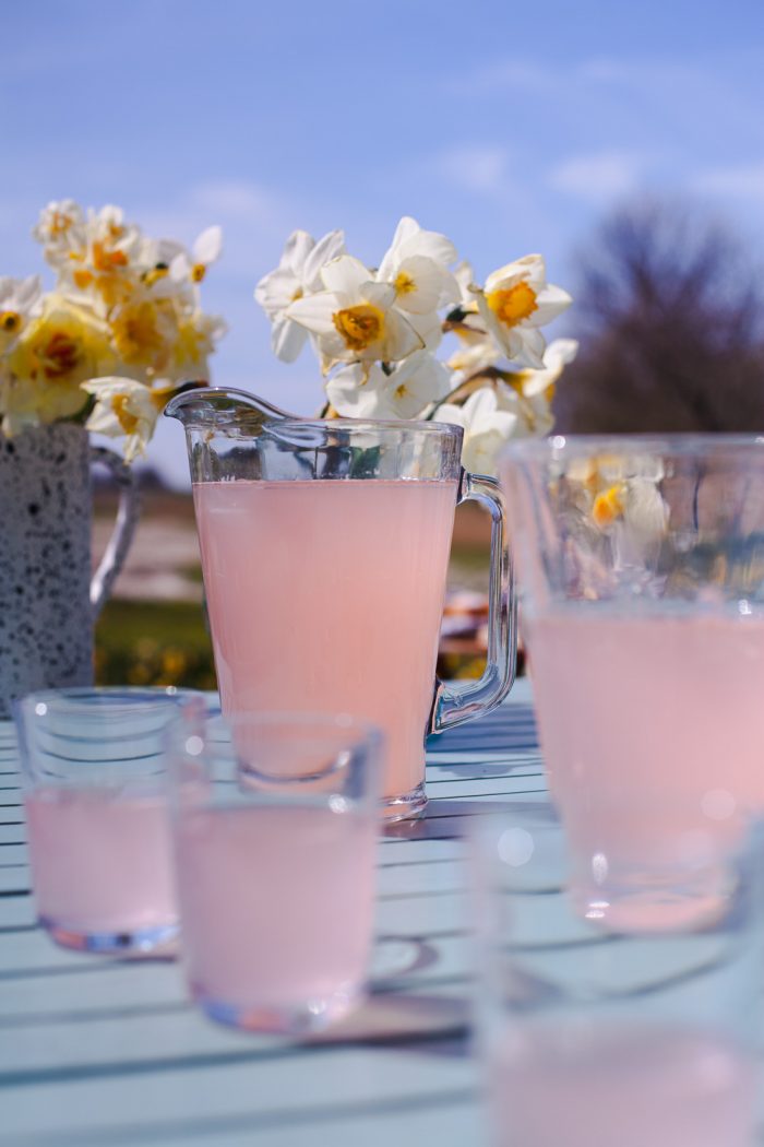 Eine Frühlings-Erfrischung – Rhabarber-Ingwer Limonade