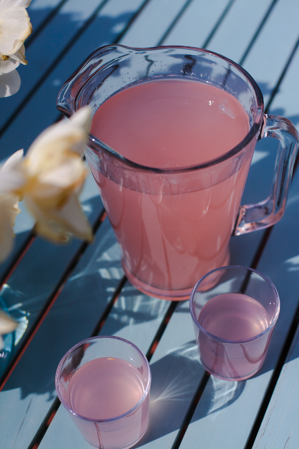 Eine Frühlings-Erfrischung – Rhabarber-Ingwer Limonade