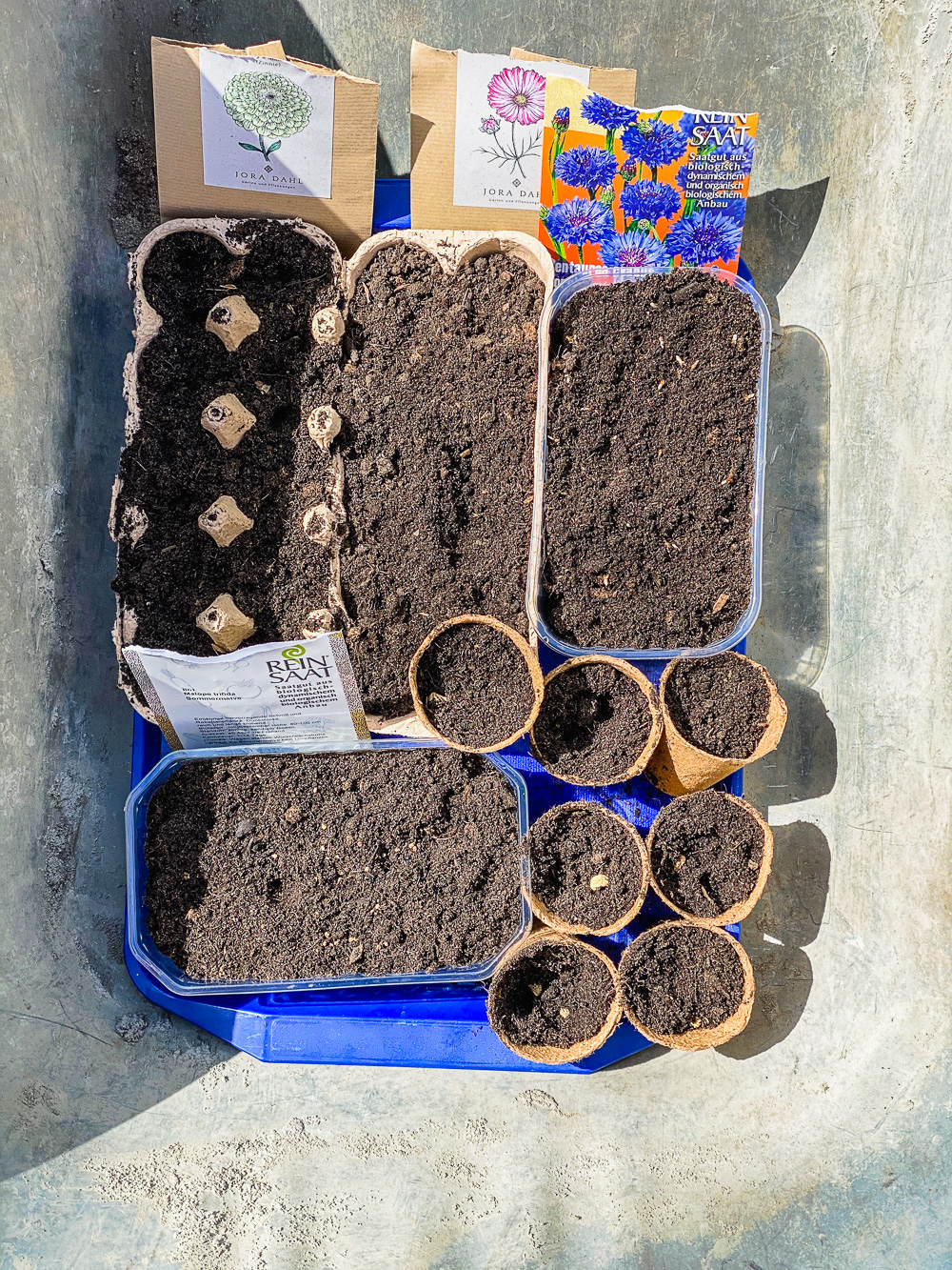 Familientagebuch in Coronazeiten - Woche 7 - tastesheriff