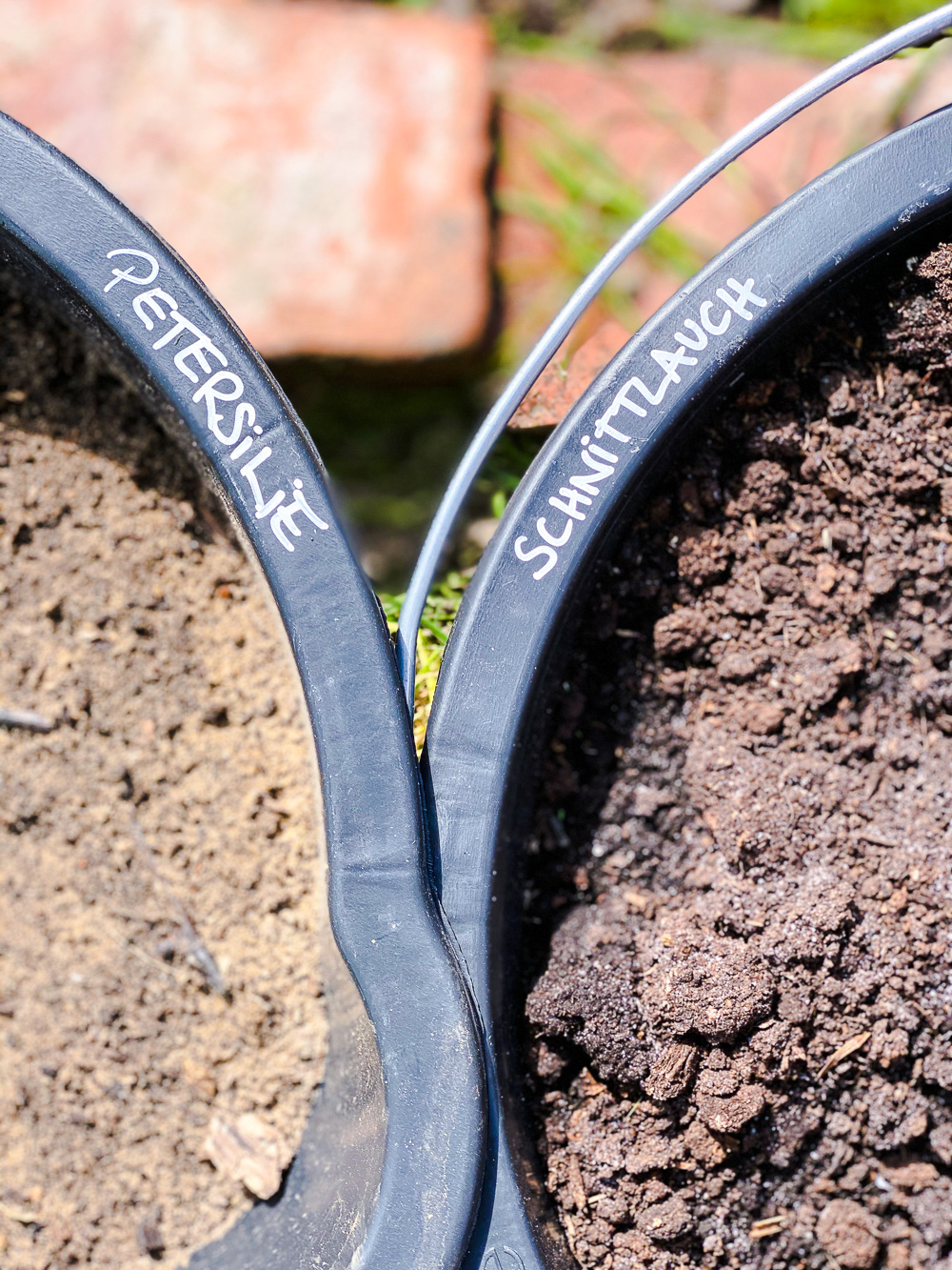 Familientagebuch in Coronazeiten - Woche 9 - tastesheriff