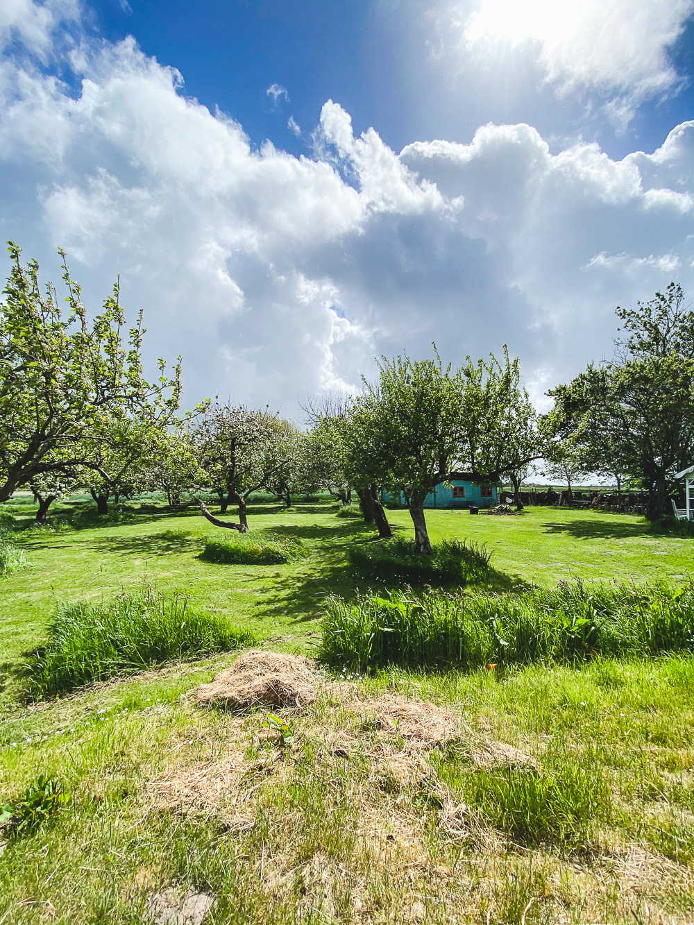 Familientagebuch in Coronazeiten - Woche 11- tastesheriff.com