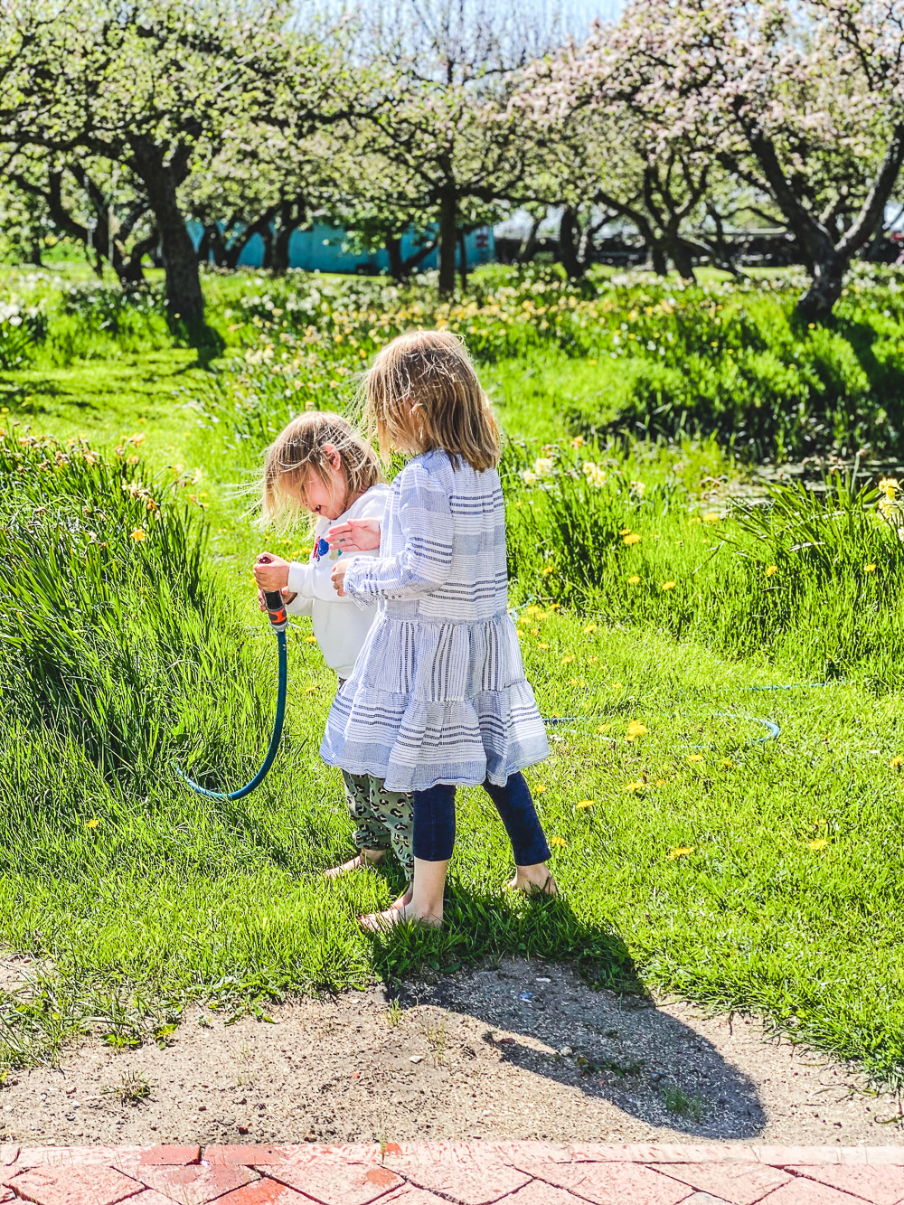 Familientagebuch in Coronazeiten - Woche 8 - tastesheriff