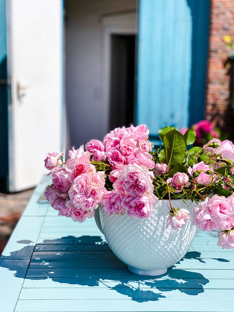 Sommer, Sonne, Sommersprossen - Edition 2 - kommt mit mir durch den Sommer