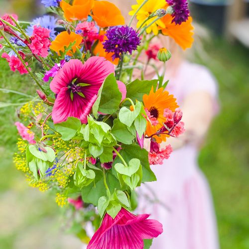 Sommer, Sonne, Sommersprossen - Edition 4 - kommt mit mir durch den Sommer