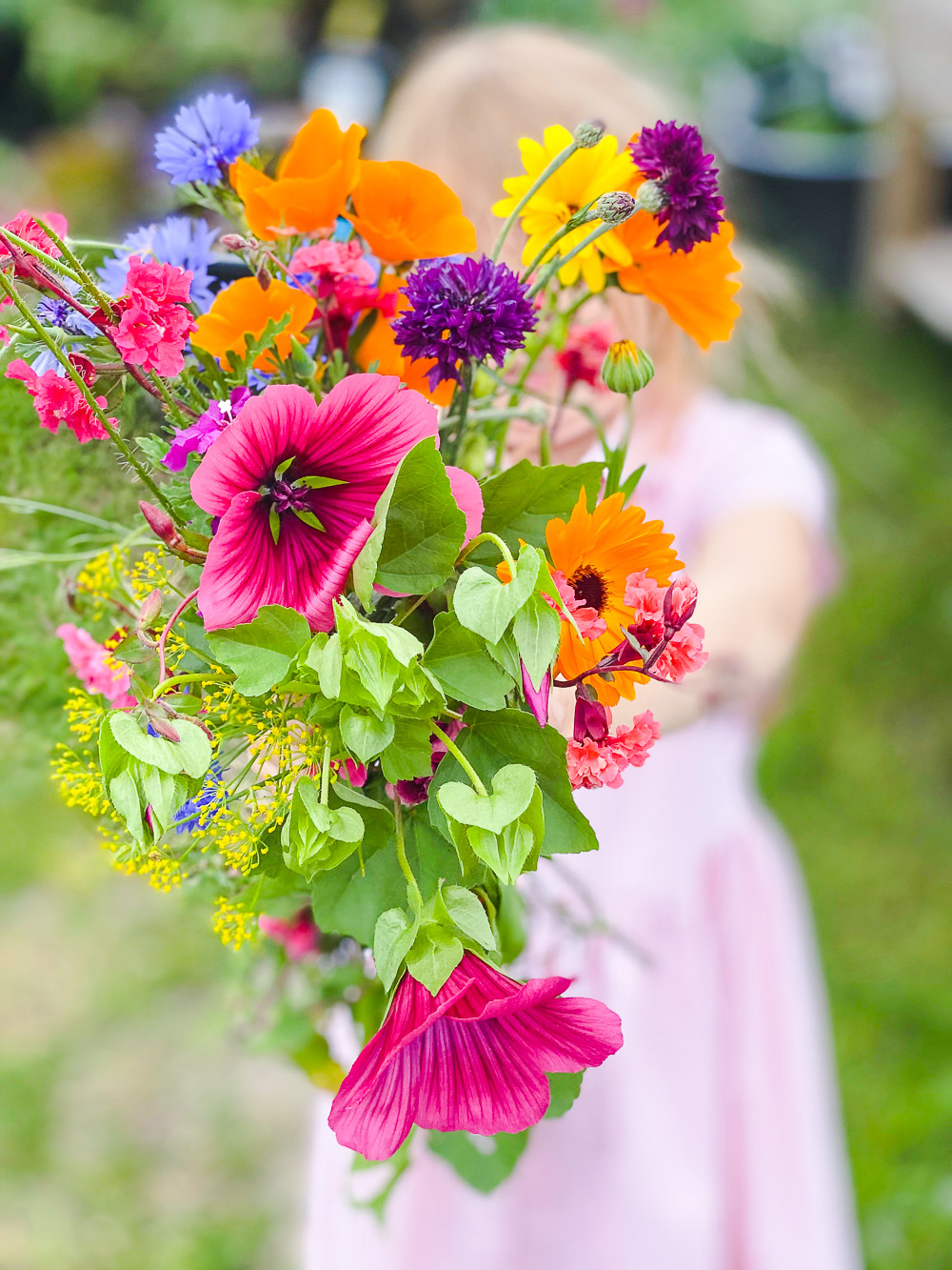 Sommer, Sonne, Sommersprossen - Edition 4 - kommt mit mir durch den Sommer