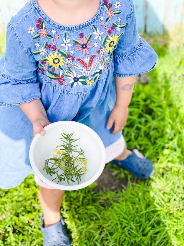 Sommer, Sonne, Sommersprossen - Edition 4 - kommt mit mir durch den Sommer