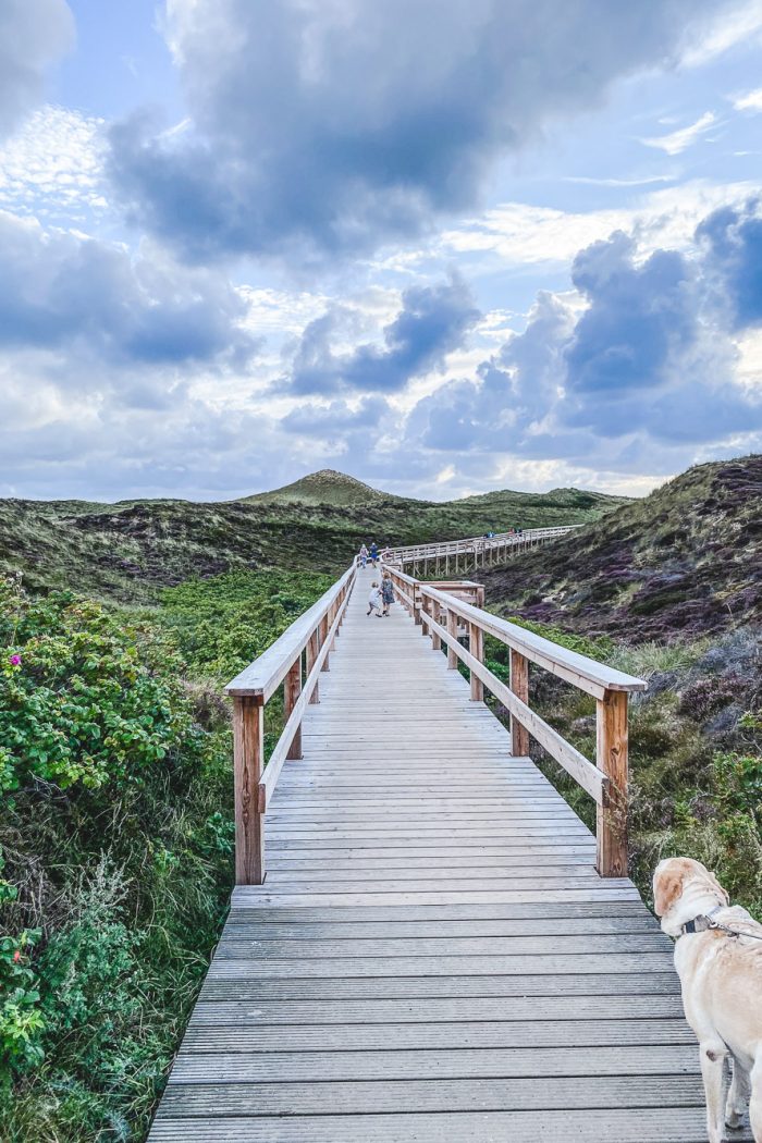 Sommer Sonne Sommersprossen Edition 8 – die Sylt Edition