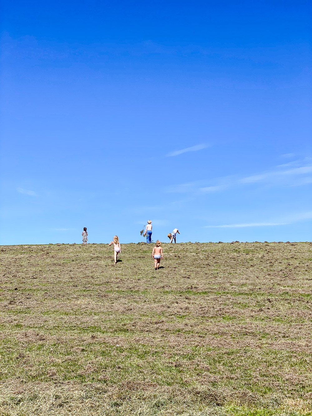 Sommer, Sonne, Sommersprossen - Edition 5 - kommt mit mir durch den Sommer