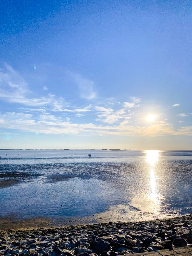 Sommer, Sonne, Sommersprossen - Edition 5 - kommt mit mir durch den Sommer