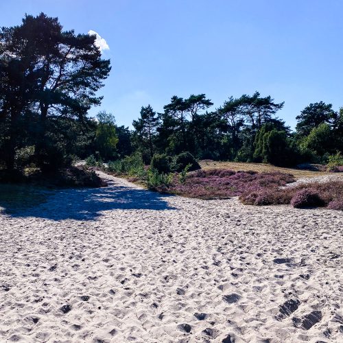 Sommer, Sonne, Sommersprossen - Edition 10 - kommt mit mir durch den Sommer