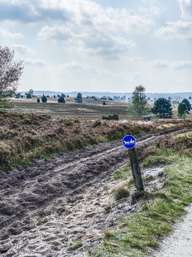 12 von 12 im September 2020 - kommt mit uns durch den Tag