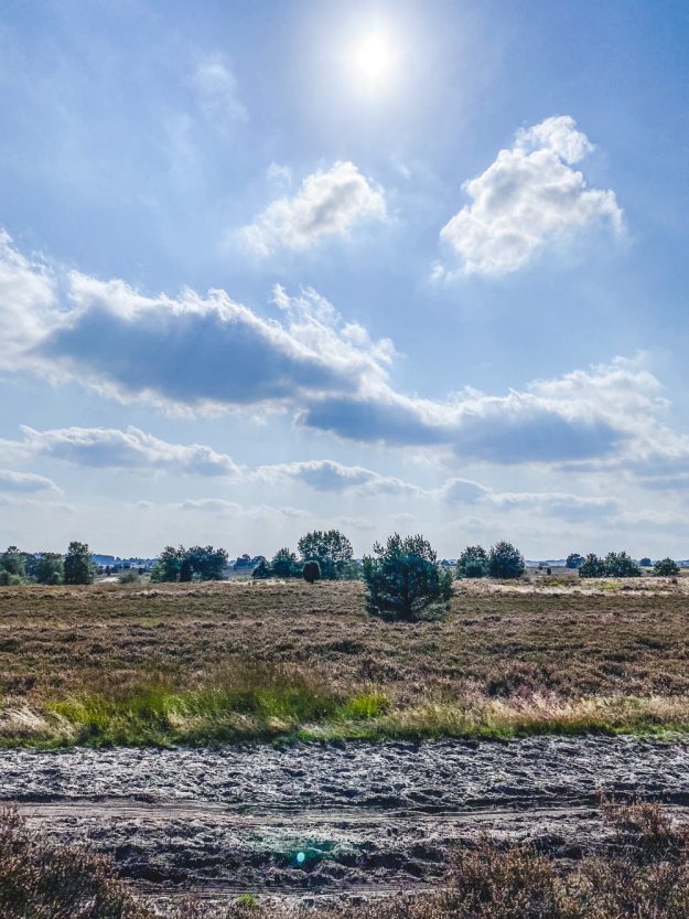 12 von 12 im September 2020 - kommt mit uns durch den Tag