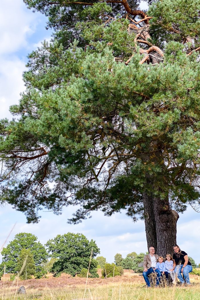 12von12 im September – ein Tag in der L&uuml;neburger Heide