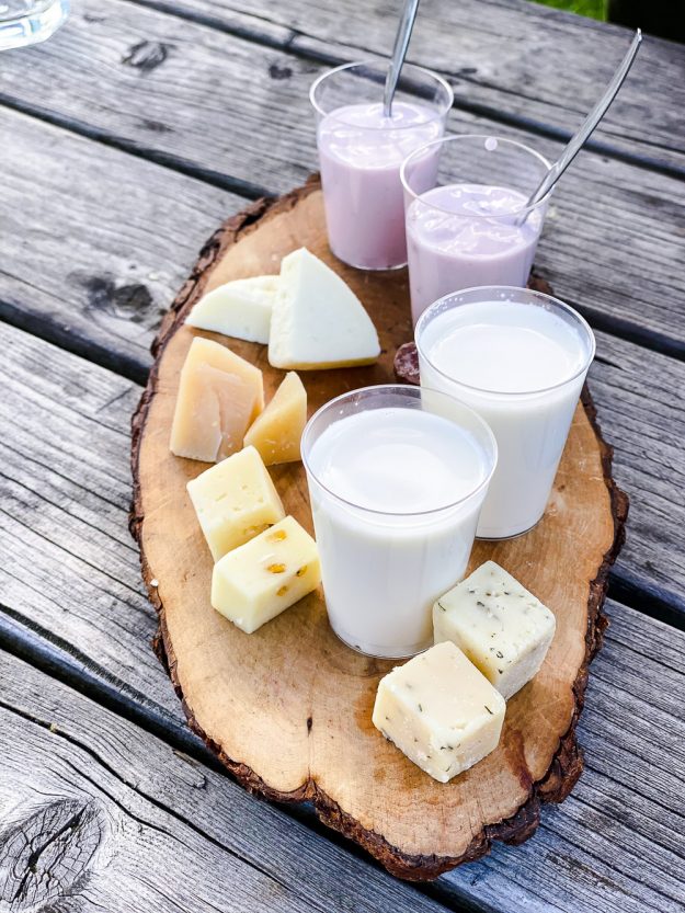 Familienzeit im anderen Holland