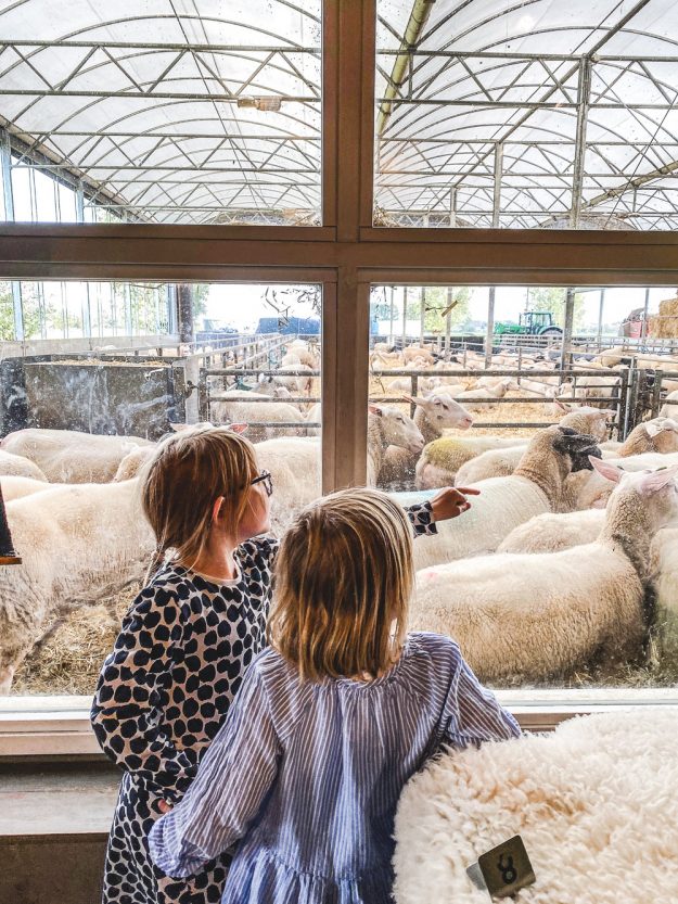 Familienzeit im anderen Holland