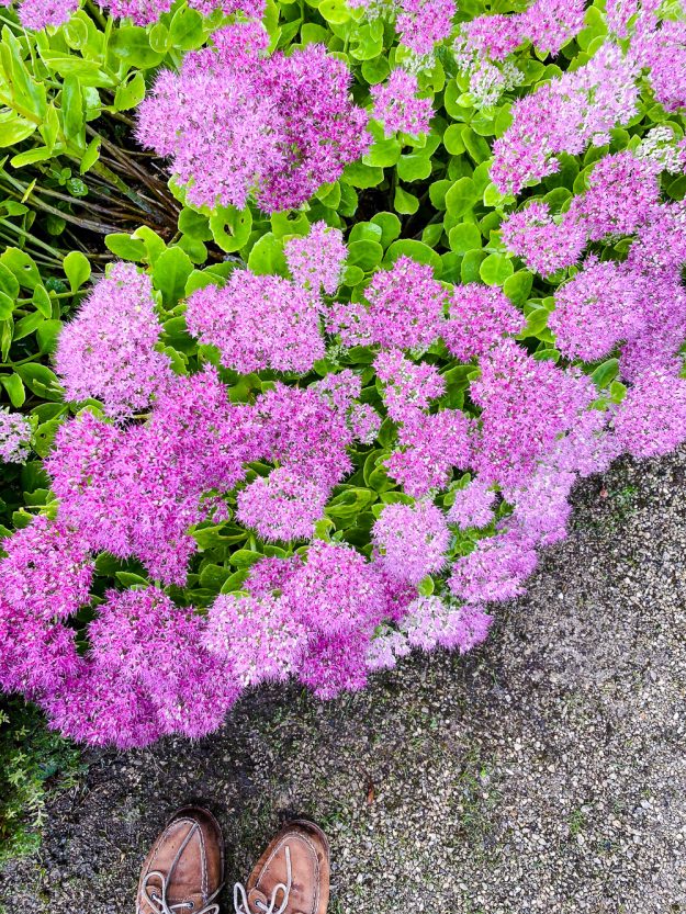 Familienzeit im anderen Holland