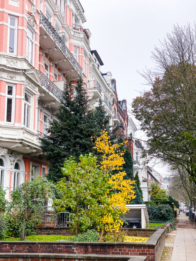 12 von 12 im November - ein ganz normaler Bürotag und ich nehm Euch einmal mit von Milchschaum am Morgen bis Milchreis und Glühwein am Abend.