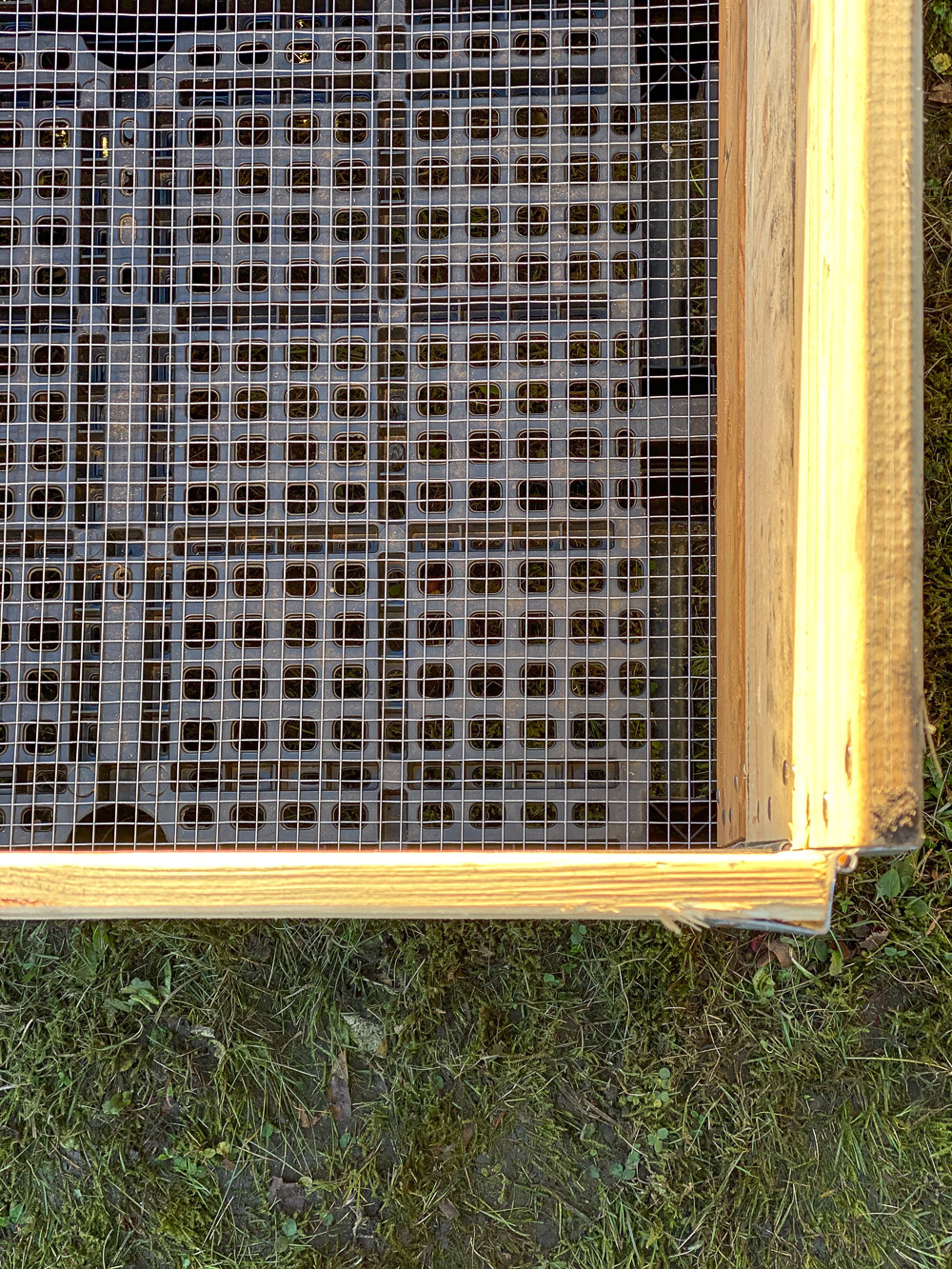 Hochbeete bauen aus Palettenrahmen - eine Anleitung und Antworten auf die offenen Fragen Hochbeete bauen aus Palettenrahmen. Das ist ganz einfach und kosteng&uuml;nstig. Ich kl&auml;re hier die Fragen des Aufbaus, der F&uuml;llung und warum &uuml;berhaupt Hochbeete?!