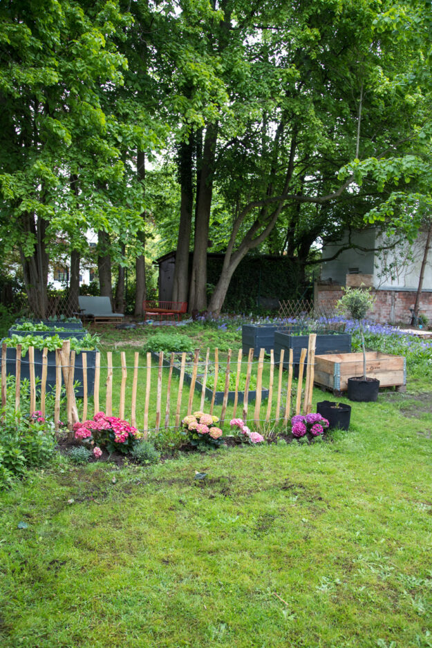 Der Garten nimmt langsam Formen an - Gartengestaltung mit Hortensien