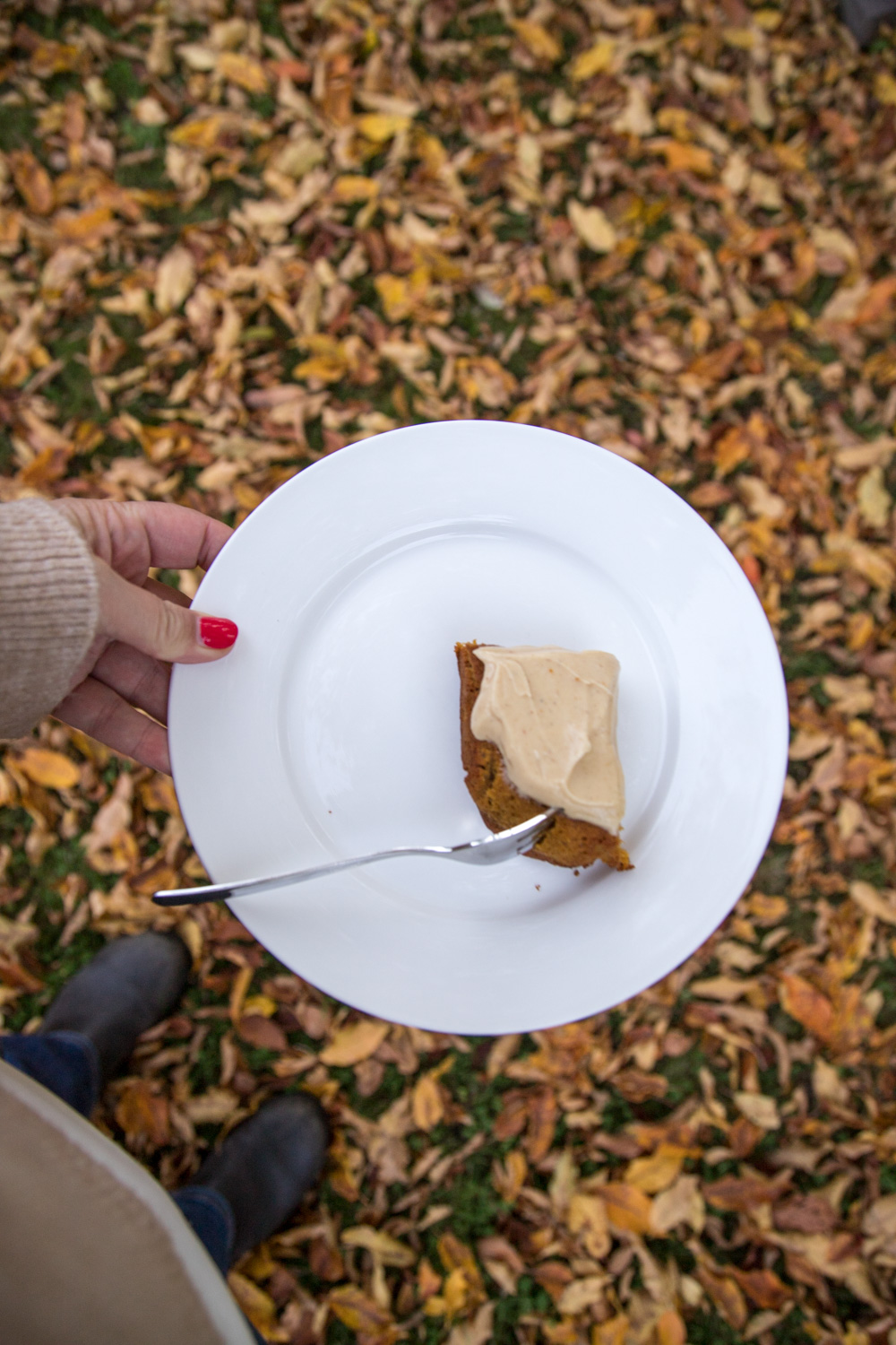 K&uuml;rbiskuchen mit Erdnuss-Frischk&auml;se Frosting