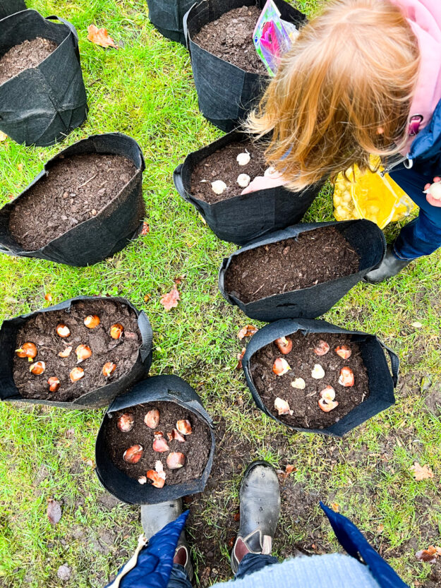 12 von 12 im Januar - mit einem wichtigen Termin für uns! Ich nehm Euch mit durch den Tag
