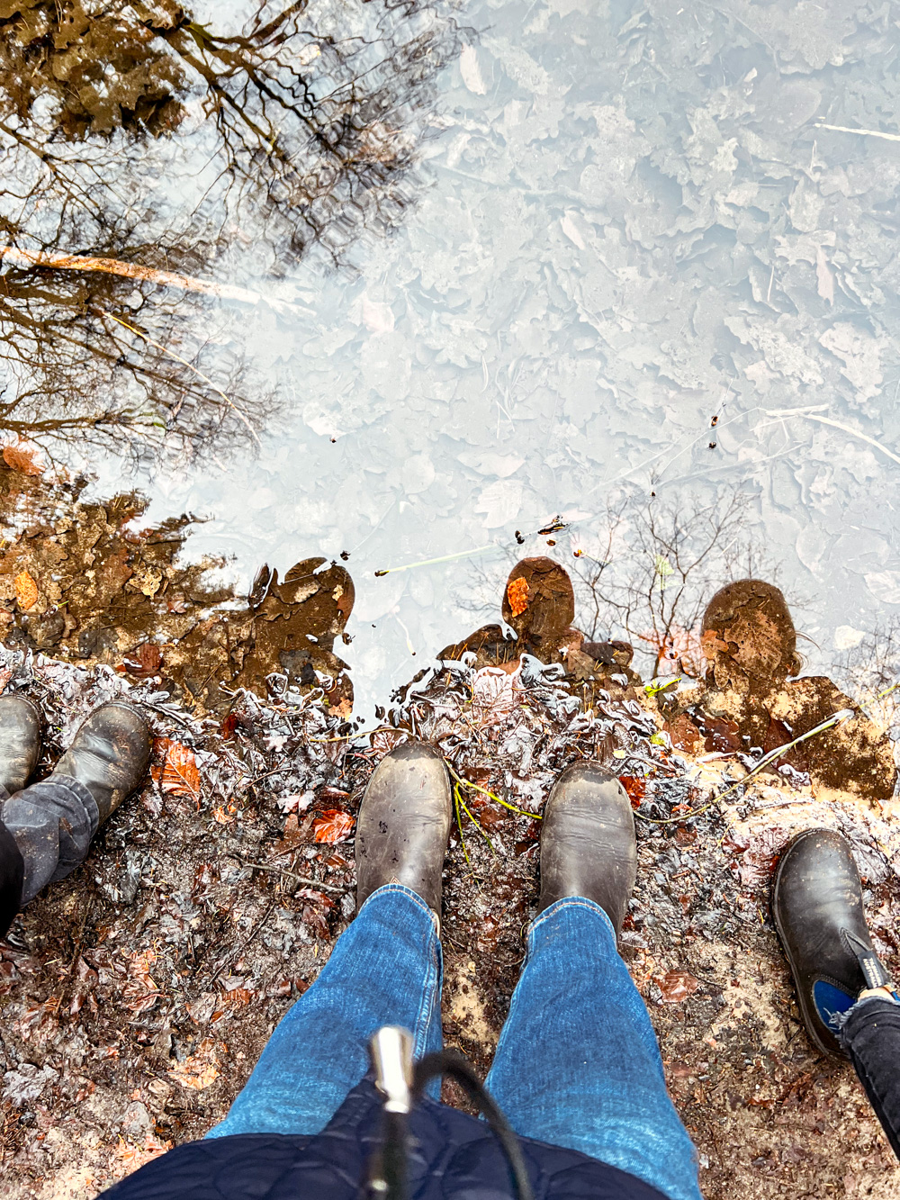 Ausflug mit Kindern in der N&auml;he von Hamburg - der M&auml;rchenwanderweg in Jesteburg