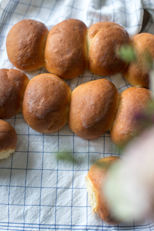 Mit den leckeren Milchbrötchen zaubert Ihr allen ein Lächeln ins Gesicht. Wenn ich die kleinen Hefebrötchen Sonntags auf den Tisch stelle, sind alle happy.