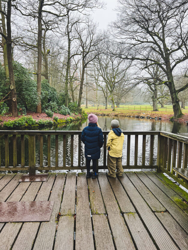 Der Januar - mein Monatsrückblick auf tastesheriff.com