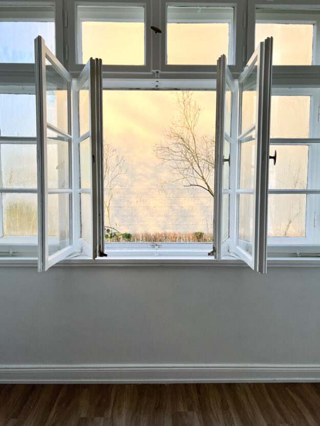 Unterwegs an einem sonnigen Wintertag - 12 von 12 im Feburar 2022