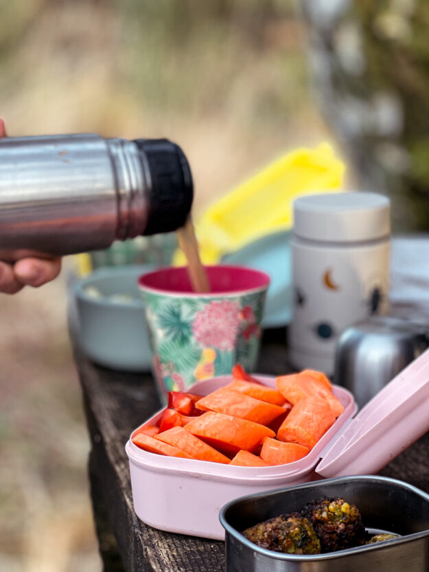 Unterwegs an einem sonnigen Wintertag - 12 von 12 im Feburar 2022