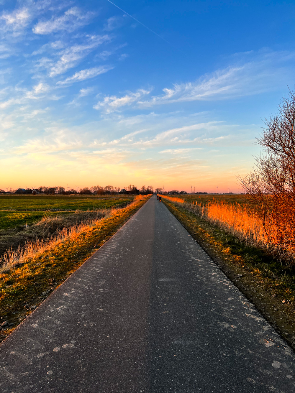 Monatsr&uuml;ckblick im M&auml;rz 2022 - tastesheriff