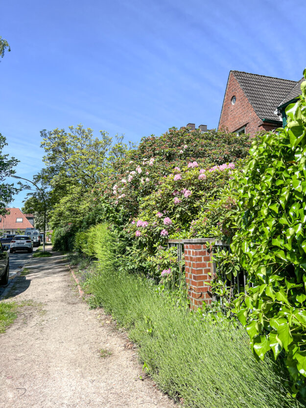 ein Sonntag im Juni - 12 von 12